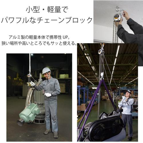 KITO 手動チェーンブロック CX形 定格荷重250kg 揚程2.5m ハンドチェーン2m 小型・軽量 【選べる定格荷重】  ( CX003 ) |  | 03