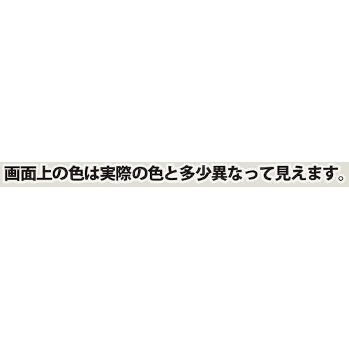 【SALE価格】KANSAI 油性シリコンラッカースプレー シルバー 420ml ( 00587645252420 ) (株)カンペハピオ |  | 01