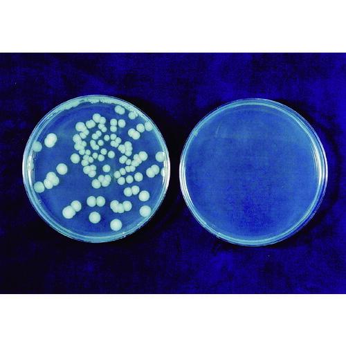 【SALE価格】エレクトロン エアータオル  ( KTM-100 ) |  | 04