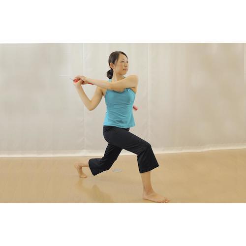 ハルメソッド パワーバランスファラオ 440g ( PB-PHARAOH440 ) ハルスポーツプロダクション(株) |  | 02