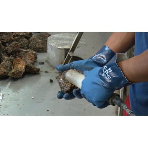 SHOWA ニトリルゴム手袋 No750ニトロ-ブ ブルー Sサイズ ( NO750-S ) |  | 06