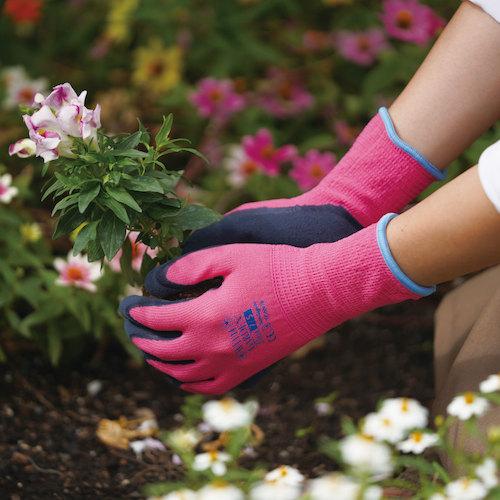 トワロン 天然ゴム背抜き手袋 WITHGARDENフローラ ローズピンク 8/M ( W315-M ) |  | 01