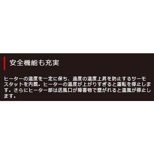 大一産業 ヒーター付きブロアーPlus  ( 29030018 ) |  | 06