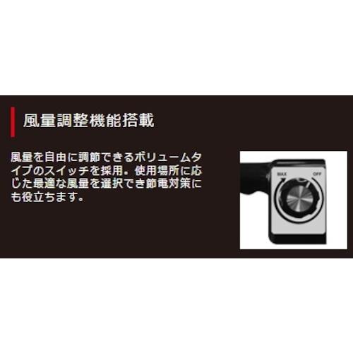 大一産業 ヒーター付きブロアーPlus  ( 29030018 ) |  | 07