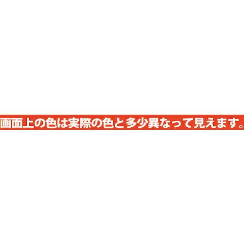 KANSAI 蛍光スプレー 蛍光レッド 300ML ( 00747641632300 ) |  | 01