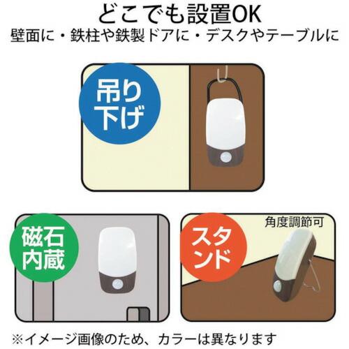 リーベックス マグピカ SL50 ( SL50 (20775) ) |  | 02