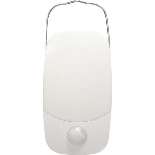 リーベックス マグピカ SL50 ( SL50 (20775) ) |  | 03