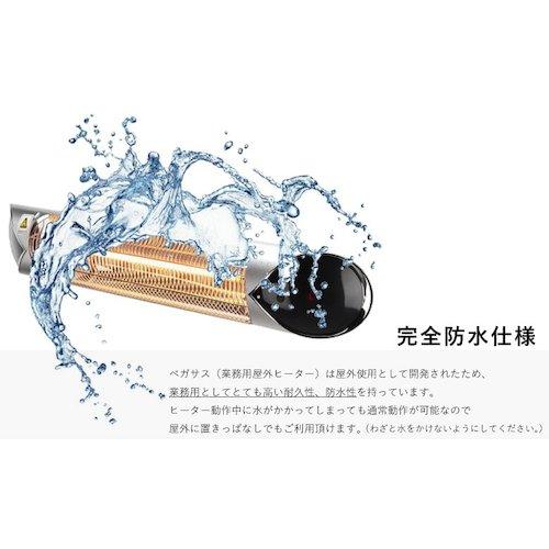グリーンクロス　コンフォーペガサス・黒・スタンド付オプション（横向き取付用） ( 6300024151 ) (メーカー取寄)
