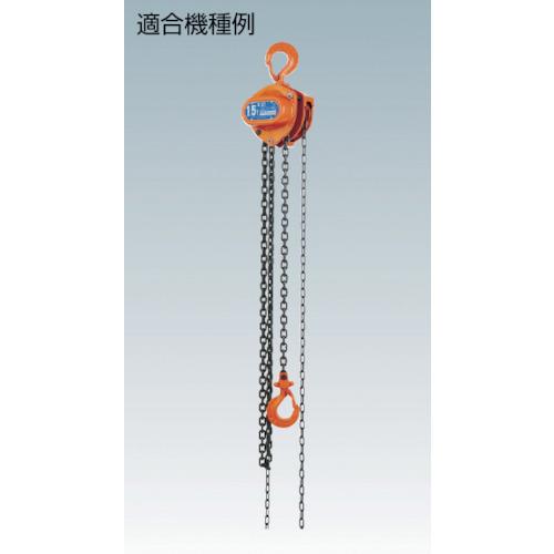 象印 C21ー1t用外れ止めセット () ( YC21-010003 ) 象印チェンブロック(株) |  | 01