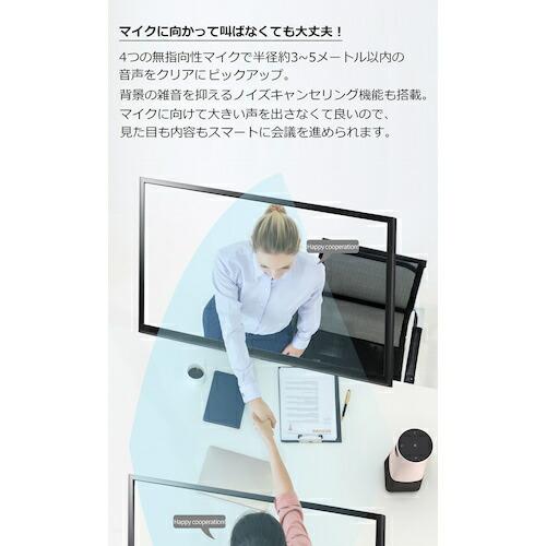 グリーンクロス PHILIPS スマートミーティング カメラ&スピーカー PSE0550  ( 6300026644 ) |  | 03