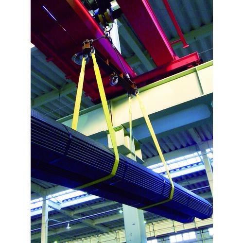 田村 ベルトスリング Zタイプ 4E 50×4.0 ( ZE0500400 ) 田村総業(株) |  | 03