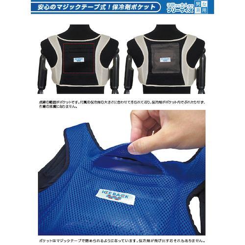 グリーンクロス BR-556アイスバックWベージュ  ( 6300027782 ) |  | 05