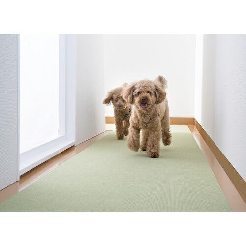 サンコー ペット用床保護マット 60×240cm グリーン  ( KM-58 ) (株)サンコー (メーカー取寄) |  | 06