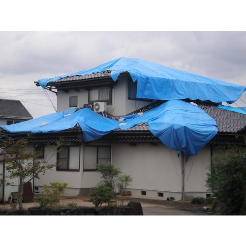 ◆F.C.Real Bristol◆BOX LOGO ボックスロゴ 半袖Tシャツ 萩原 ターピー エコフレンドシート#3000 7.2m×7.2m ( ECOFRI-7272 )