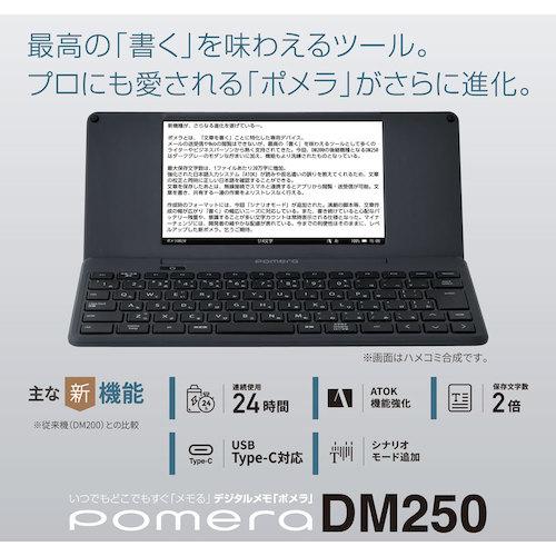 KING ( キングジム )　ＪＩＭ　デジタルメモ「ポメラ」　タ− ( DM250-DG )_1