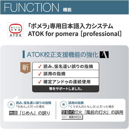 KING ( キングジム )　ＪＩＭ　デジタルメモ「ポメラ」　タ− ( DM250-DG )_3