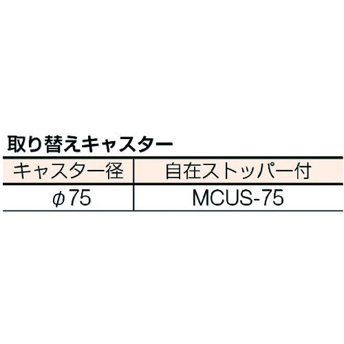シンコー　ステンレスワゴンM03型　M03-7545-U75　シンコー(株)