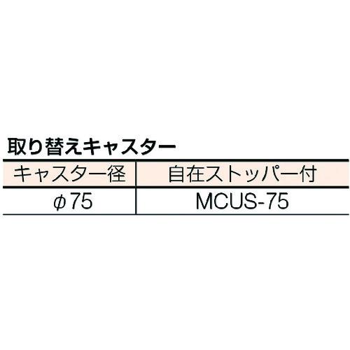 シンコー　ステンレスワゴンMN03型　MN03-6045-U75　シンコー(株)