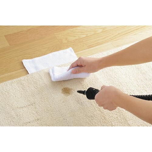 グリーンクロス エレット ハンディスチームクリーナー  ( 6300034800 ) |  | 02