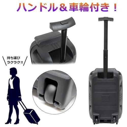 グリーンクロス CICONIA 全身発行LEDパーティースピーカー CTGY10A  ( 6300036508 ) |  | 03