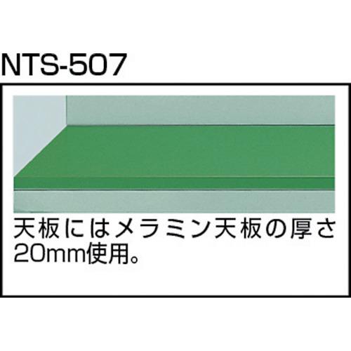 TRUSCO ( トラスコ中山 )　大型ツールワゴン　１１６０Ｘ５５０ＸＨ１０９０　扉付 ( NTS-507 )_2