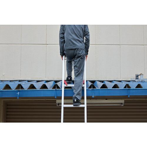 ハセガワ ( 長谷川工業 )　ラクノリ２連はしご脚部伸縮タイプ５．４１Ｍ（１０４０５） ( LN2-54 )_6