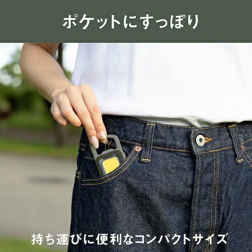 musashi 充電式スーパーフラッシュライト6Wグレイッシュブルー ( COB-WL006GB ) |  | 02