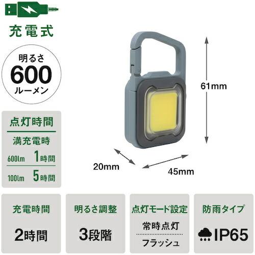 musashi 充電式スーパーフラッシュライト6Wグレイッシュブルー ( COB-WL006GB ) |  | 05