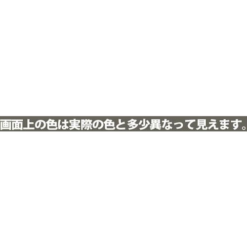 直販お値下 KANSAI ヌーロ 70ML ダークグレー ( 681-009 ) (12本セット)