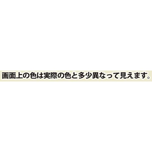 本店激安 KANSAI ヌーロ 70ML パールグレー ( 681-054 ) (12本セット)