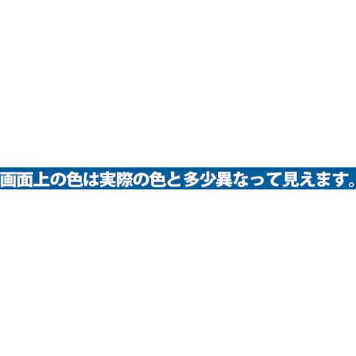 割引卸売り KANSAI ヌーロ 70ML スカイブルー ( 681-064 ) (12本セット)