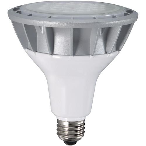 ハタヤ ( ハタヤリミテッド ) LED作業灯 20WLEDランプ付