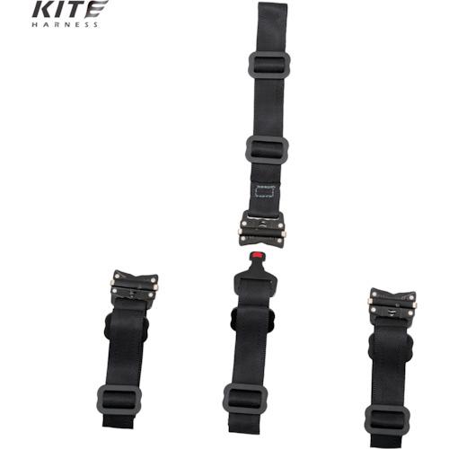 TSUYORON KITEハーネス ハーネス本体のみ 青 Lサイズ  ( TH-521-OT-BL-L-BX ) 藤井電工(株) |  | 02