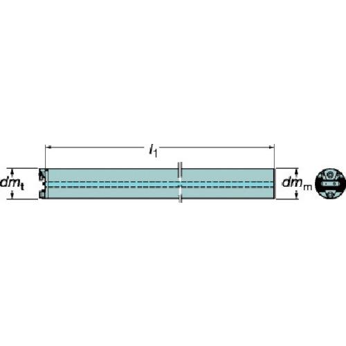 SANDVIK ( サンドビック )　コロターンＳＬ　ボーリングバイト（４８０） (570-2C 32 218 (480))_1