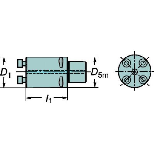 SANDVIK コロマントキャプト コロターンSLボーリングバイト(410) ( C6-570-2C 32 081 (410) )_1