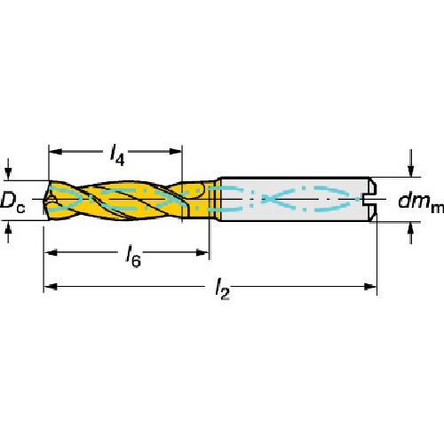 SANDVIK ( サンドビック )　コロドリルデルタ−Ｃ　超硬ソリッドドリル（７２０）　１２２０ ( R840-1425-50-A1A 1220 (720) )