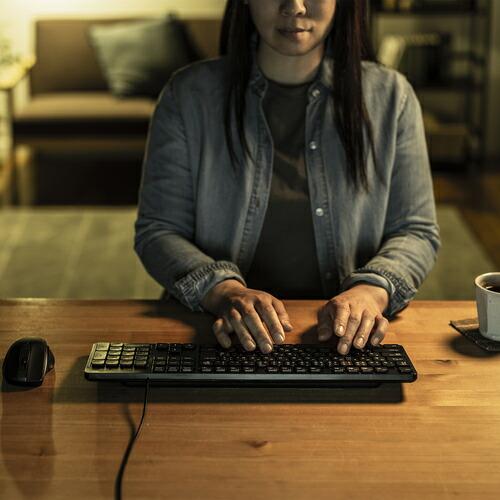 SANWA 静音キーボード ( SKB-SL37BK ) |  | 03