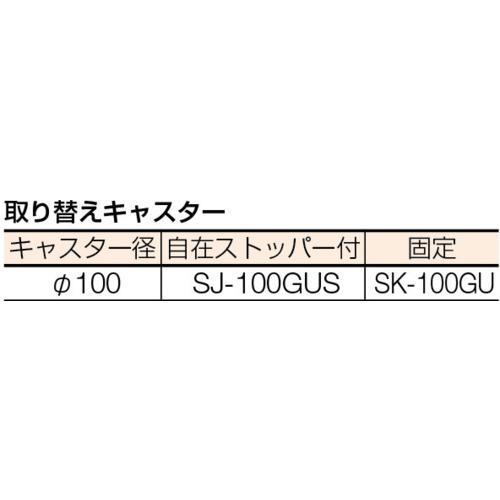 TRUSCO ( トラスコ中山 )　エースワゴンＷ　６８５Ｘ４５０ＸＨ８０２　ケント扉 ( BM-10CW NG )_2
