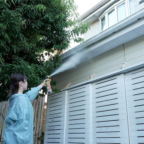 フマキラー カダンスズメバチバズーカジェット 550ml ( 451467 ) |  | 02