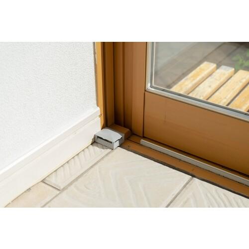 アース ムカデコロリ 駆除エサ剤 2個パック ( 277619 ) |  | 09