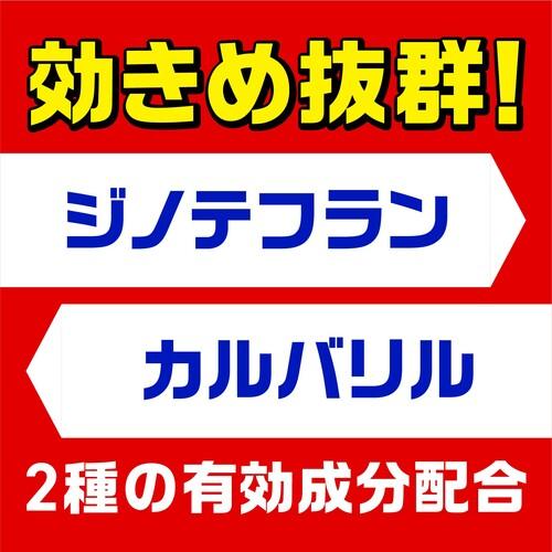 アース ムカデコロリ 駆除エサ剤 2個パック ( 277619 ) |  | 06