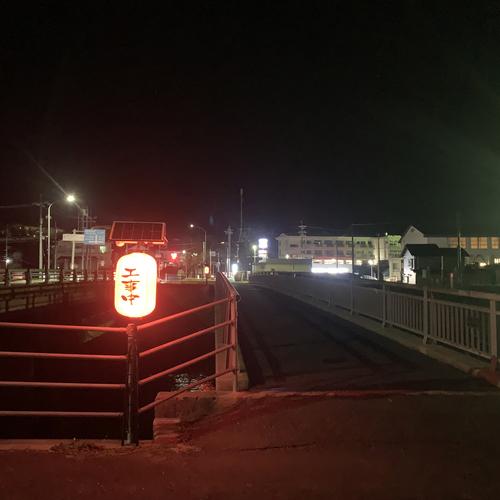 グリーンクロス 用心棒(ソーラー式防犯カメラ付き提灯) ( 1110710001 ) |  | 02