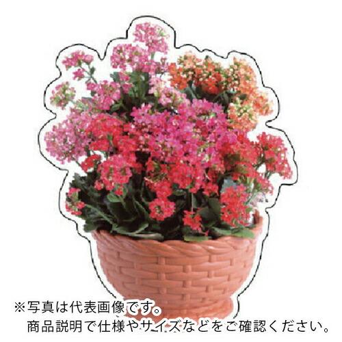 ユニット フォトジョイシール カランコエ 480×400mm ( 915-75 ) ユニット(株) (メーカー取寄) | 