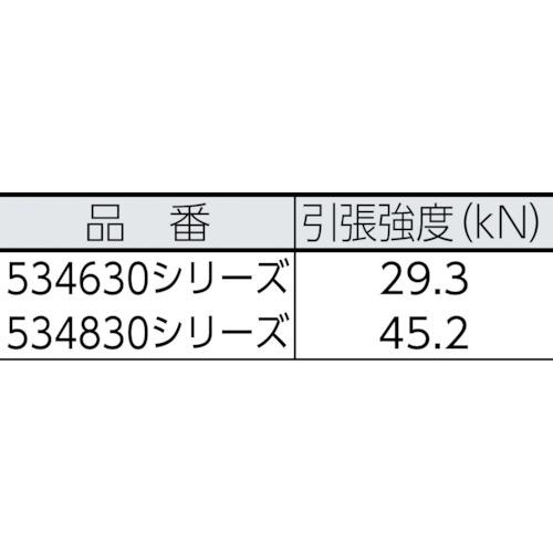 BlueWater　セイフライン　12.7φ×91m　赤　534830WHRD　白　BlueWater社