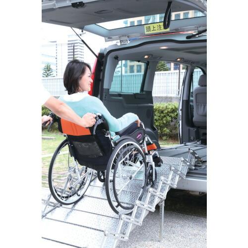 allsafe 電動ウインチ AR-L300mm 2本set ( ASW-1000 ) オールセーフ(株) |  | 01