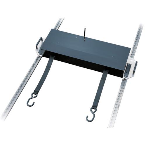 allsafe 電動ウインチ AR-L300mm 2本set ( ASW-1000 ) オールセーフ(株) |  | 07