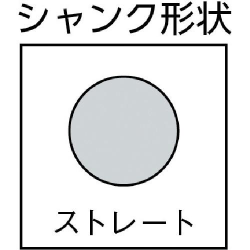 ALPEN ハイス木工ドリル 12.0×151mm ストレートシャンク ( 62001200 ) ALPEN社 |  | 01