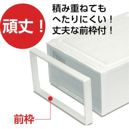 【SALE価格】TENMA フィッツケース(スリム) カプチーノ 390×740×180 ( 110000746 ) |  | 01