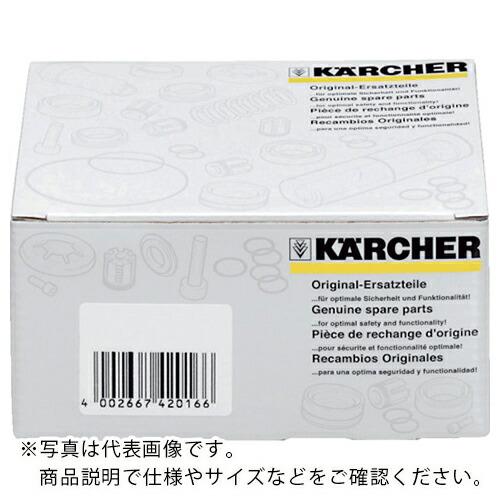 KARCHER 高圧洗浄機用アクセサリー パワ-ノズル (25゜038)() ( 2.883