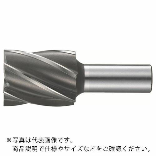 FKD 3Sエンドミル6枚刃(標準刃)58×42 ( 6SF-58X42 )